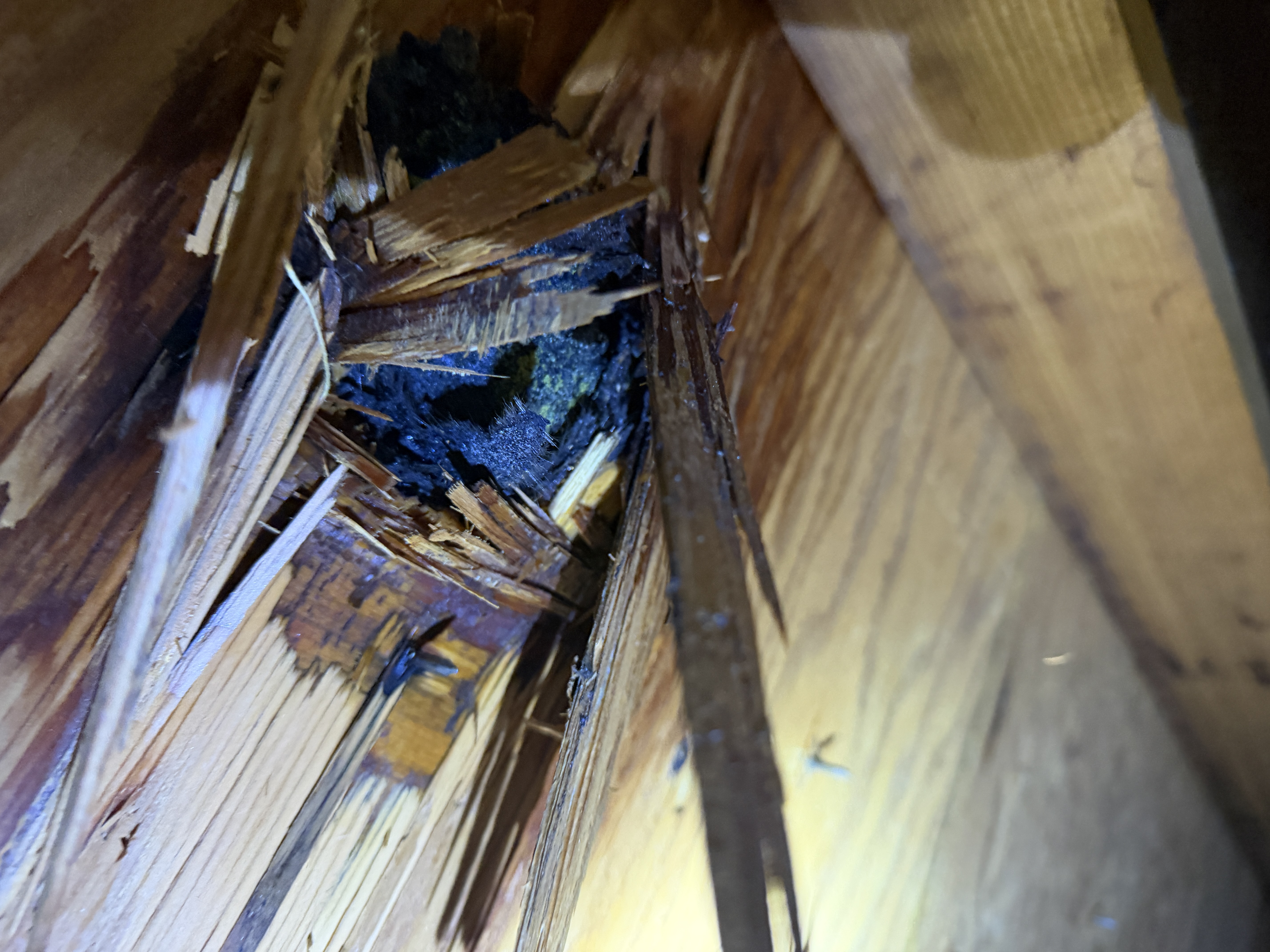 Roof deck rot damage repair