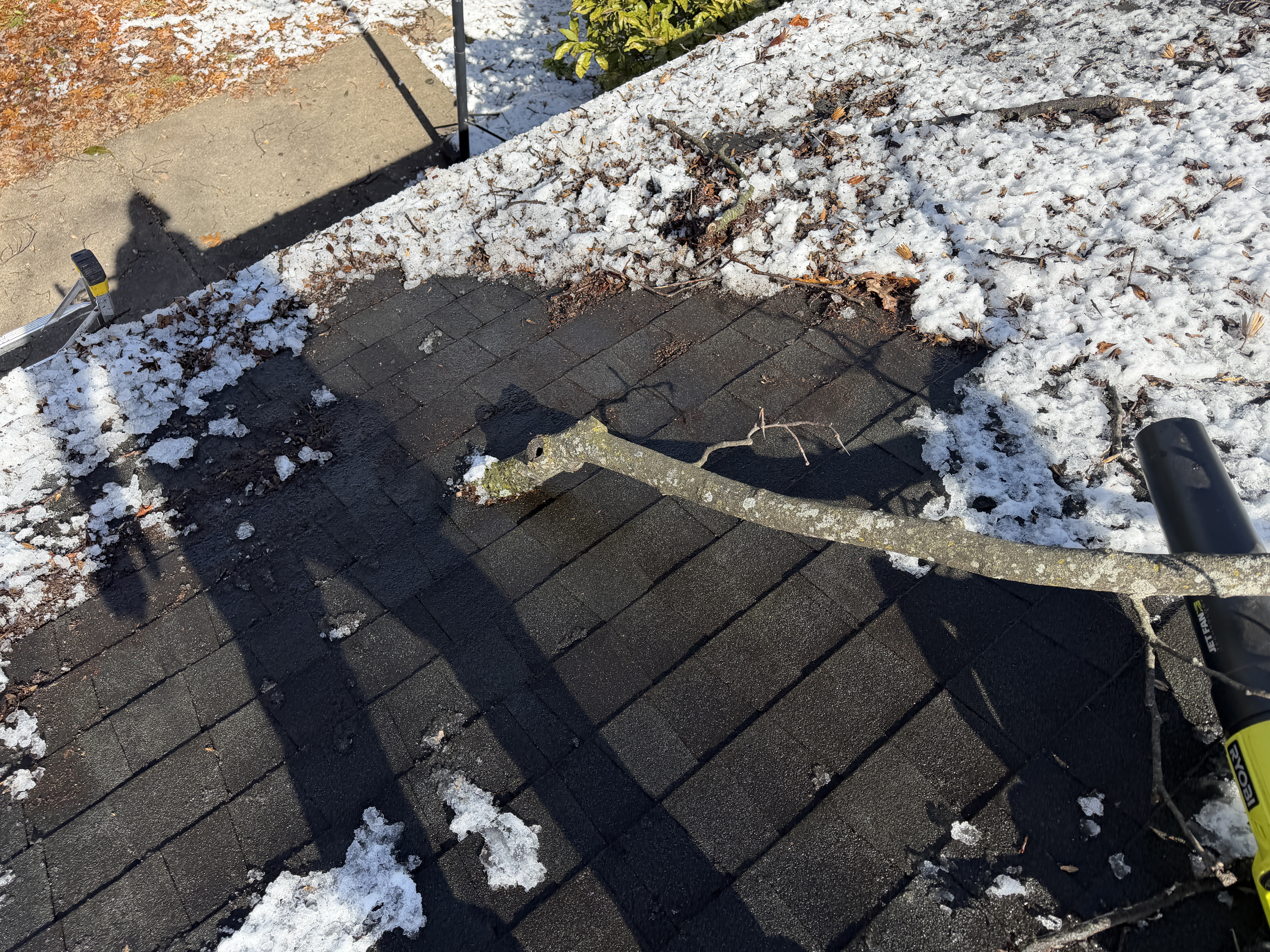 Tree branch damage on residential roof